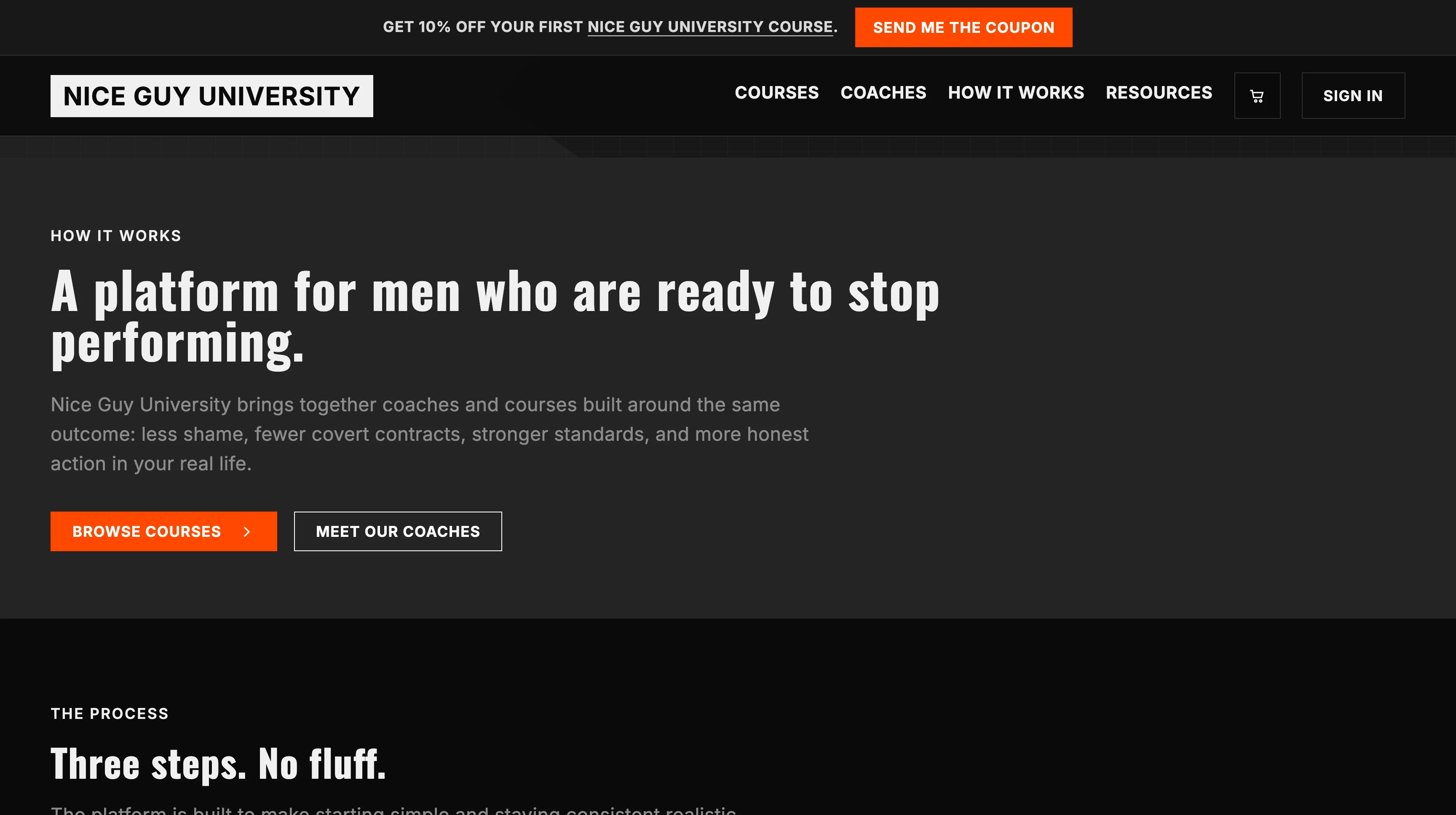 Nice Guy University how it works page