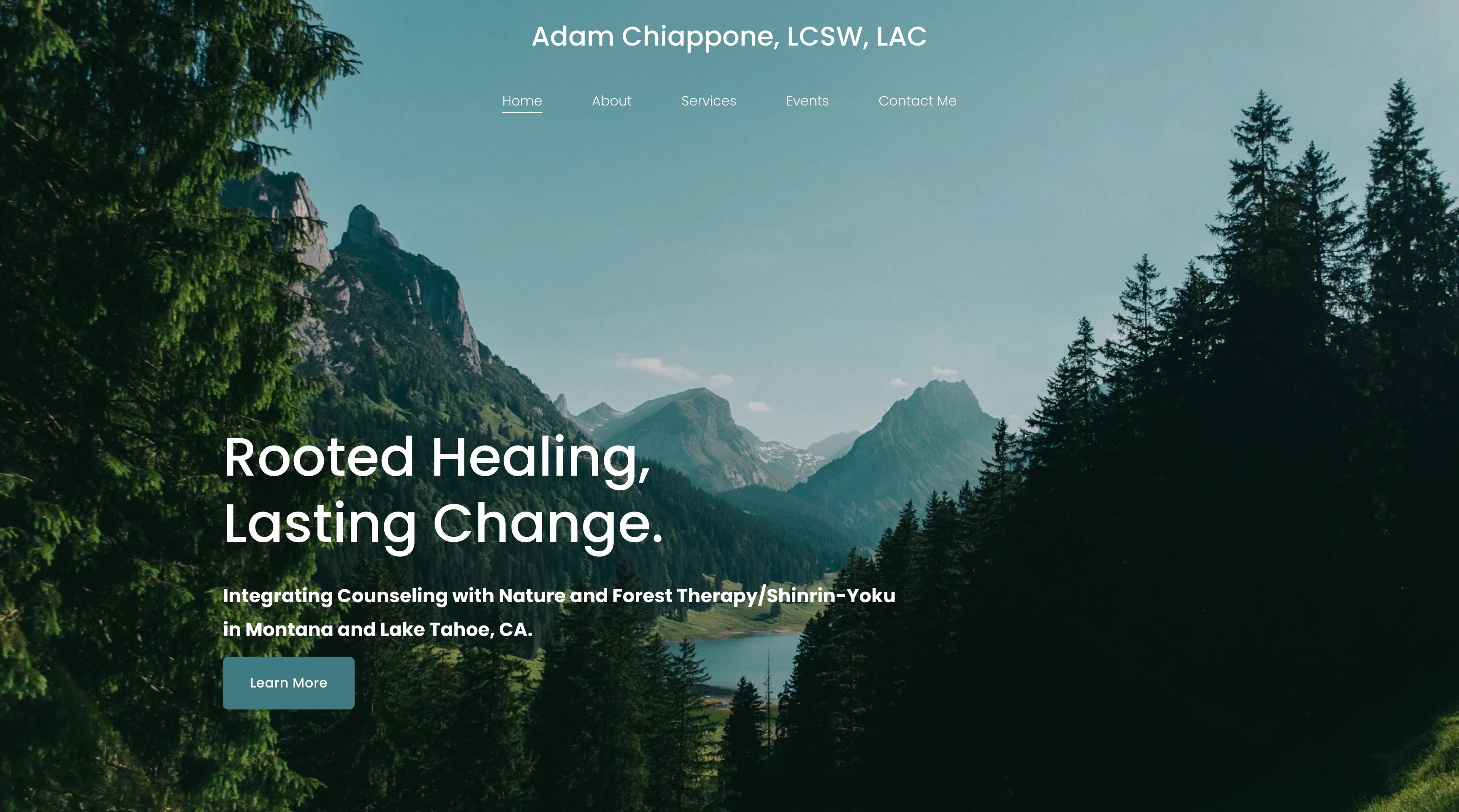 Homepage hero and contact details