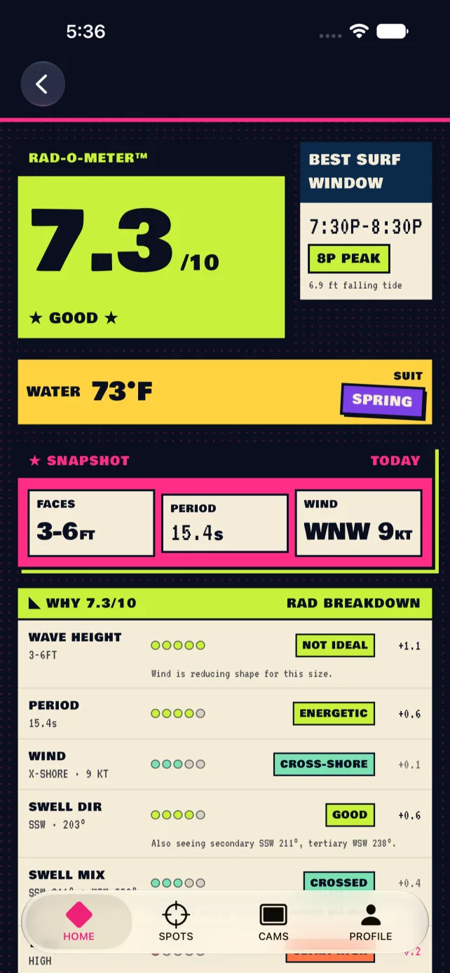 RAD breakdown detail screen explaining each forecast factor